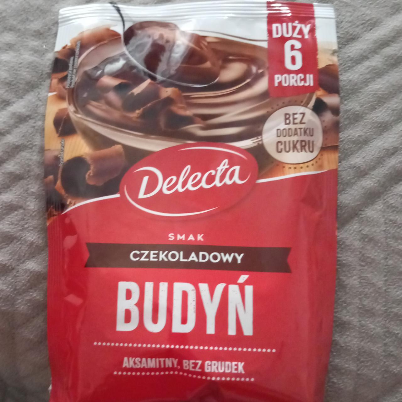 Фото - Budyn czekoladowy Delecta