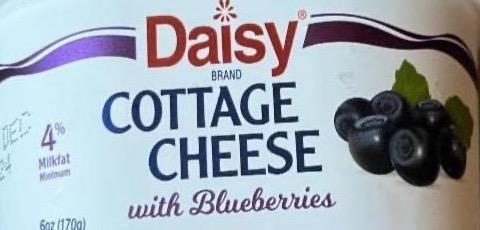 Фото - Cottage cheese with blueberries Daisy