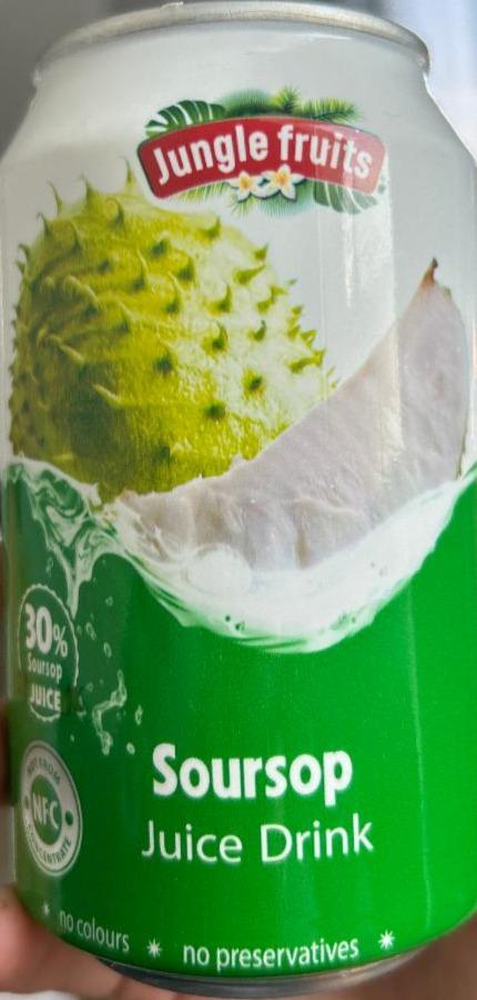 Фото - Soursop Juice Drink