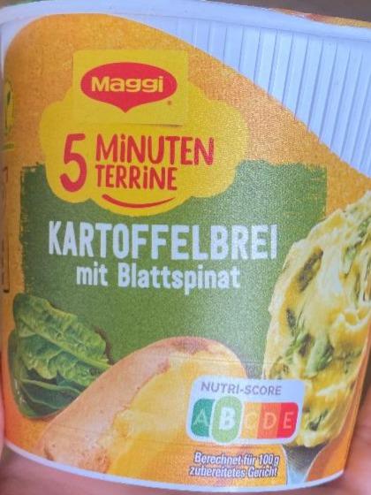 Фото - 5 Minuten Terrine Kartoffelbrei mit Blattspinat Maggi