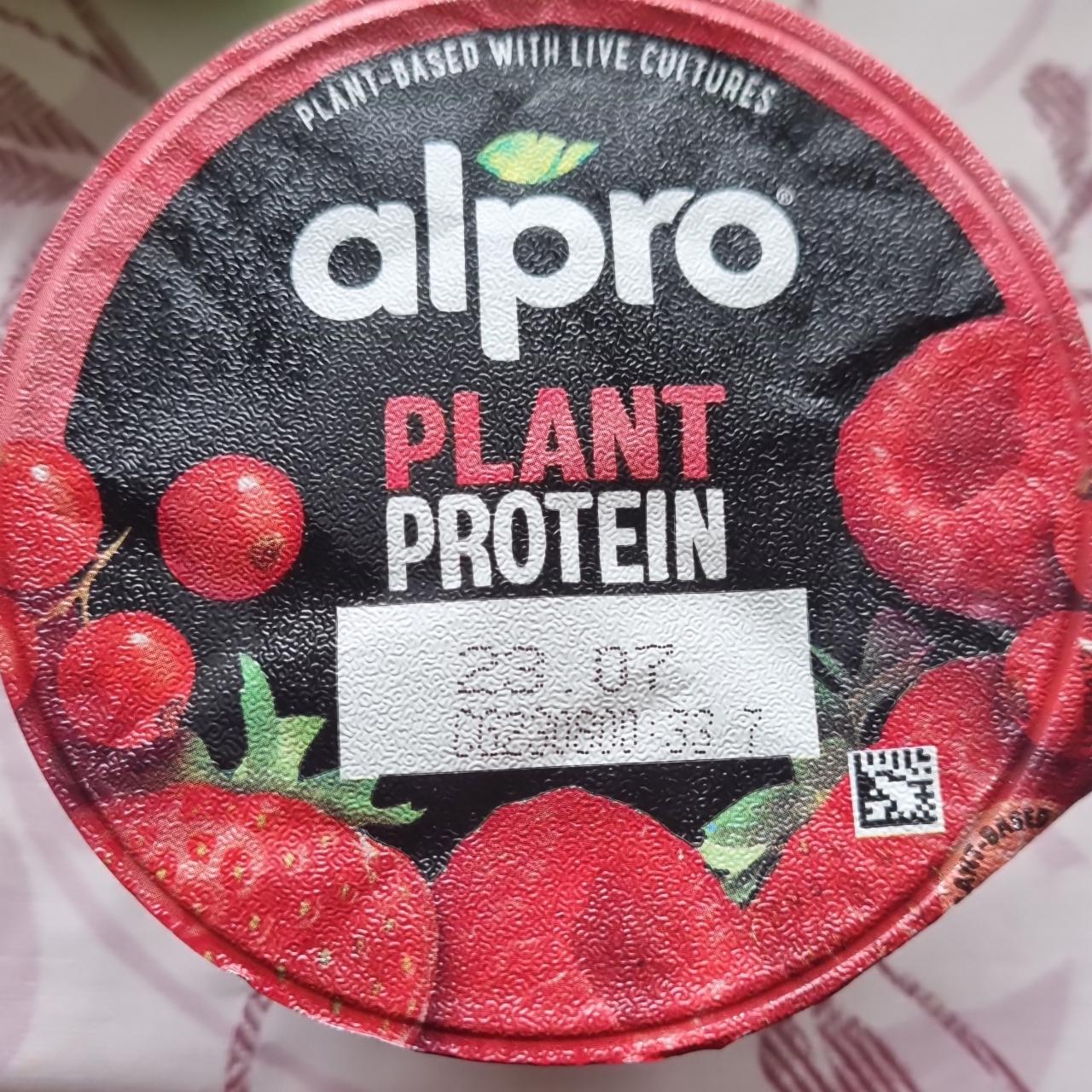 Фото - Red berries plant protein alternative to yoghurt Alpro