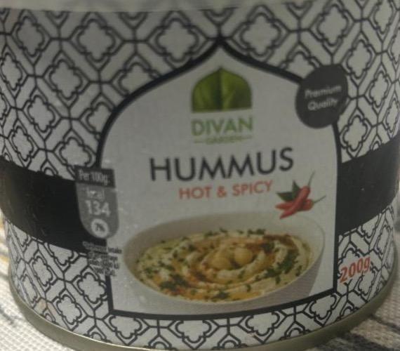 Фото - Hummus hot spicy Divan garden