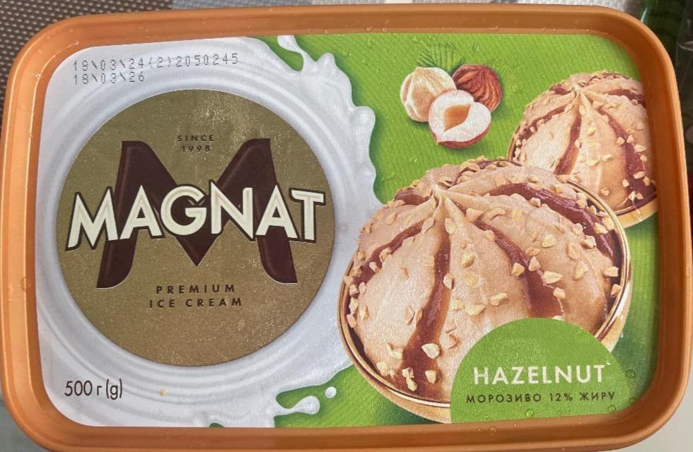 Фото - Premium Ice Cream Hazelnut Magnat