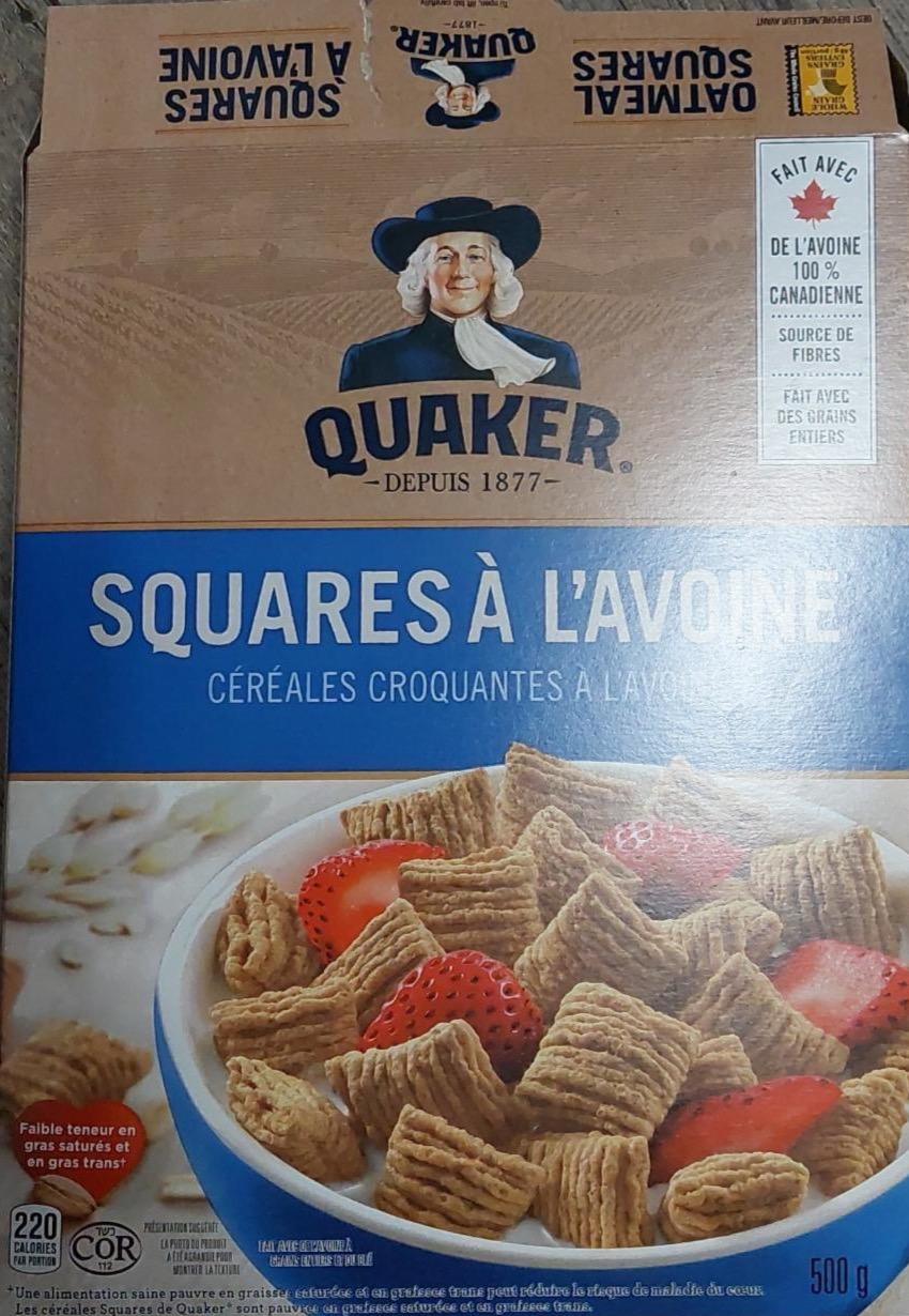 Фото - Squares a ĺavoine Quaker