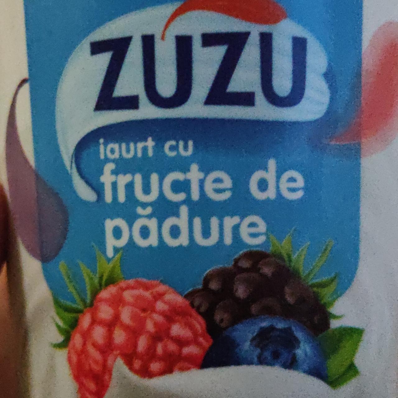 Фото - Iaurt cu fructe de padure Zuzu