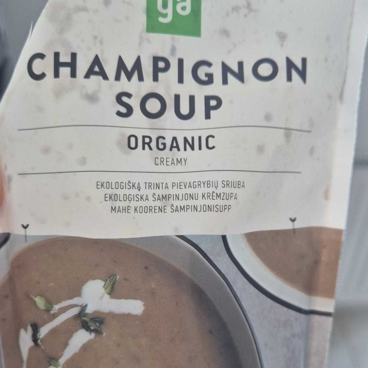 Фото - Champignon soup organic creamy Auga