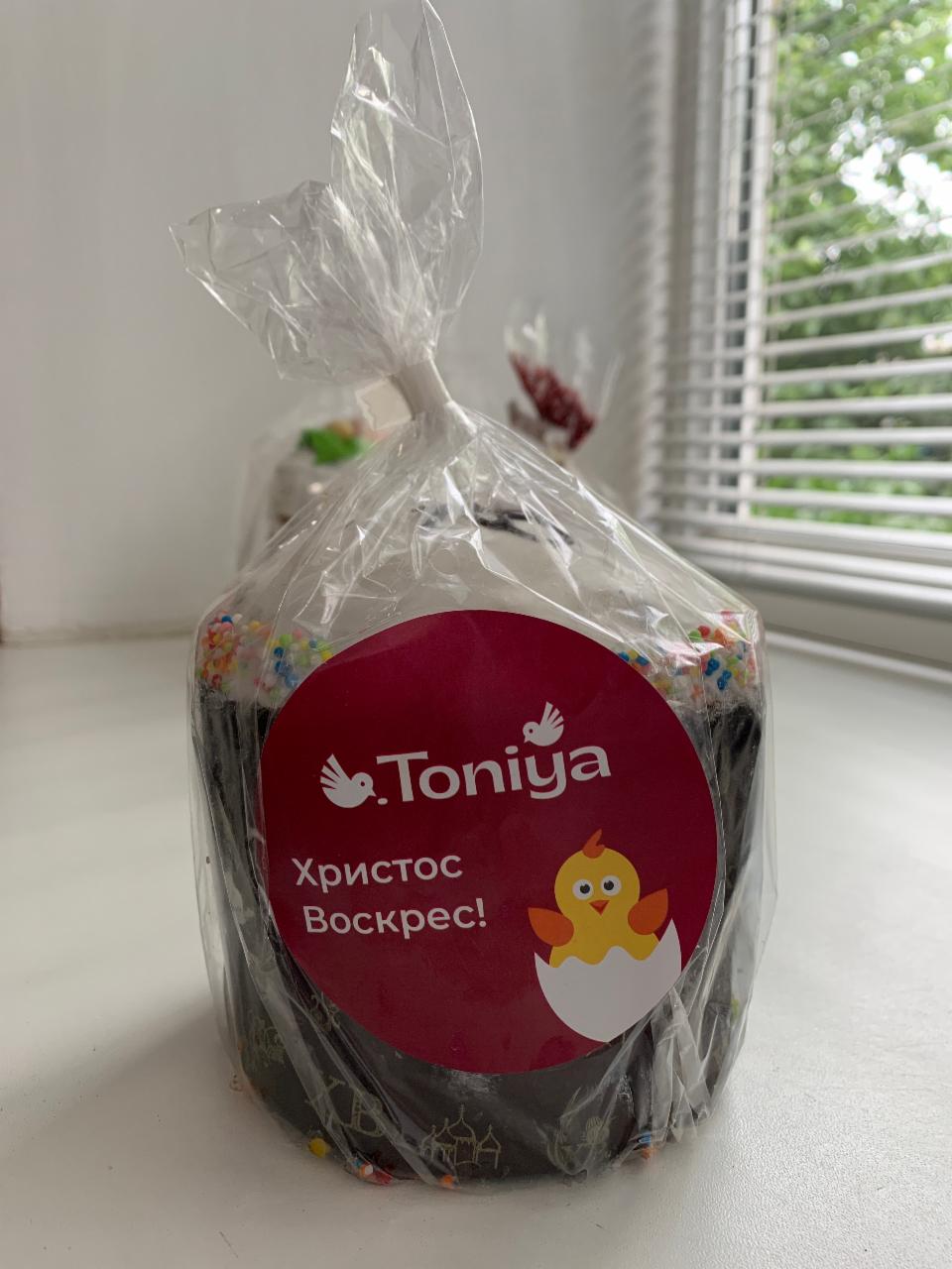 Фото - Паска Святкова Toniya