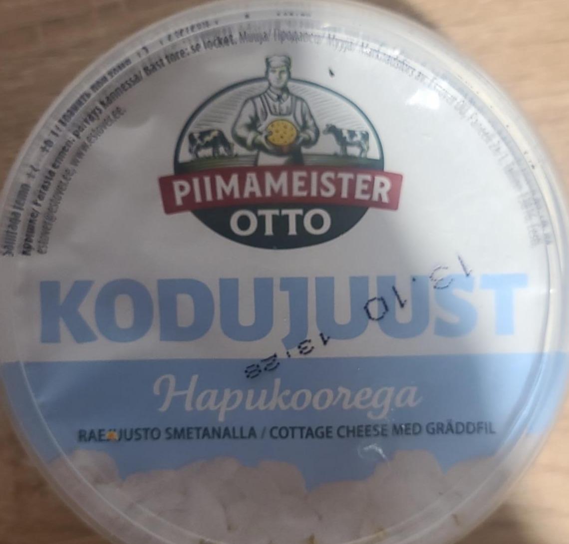 Фото - Kodujuust hapukootega Piimameister Otto