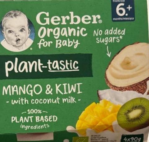 Фото - Rastlinný dezert mango a kiwi s kokosovým mliekom Gerber