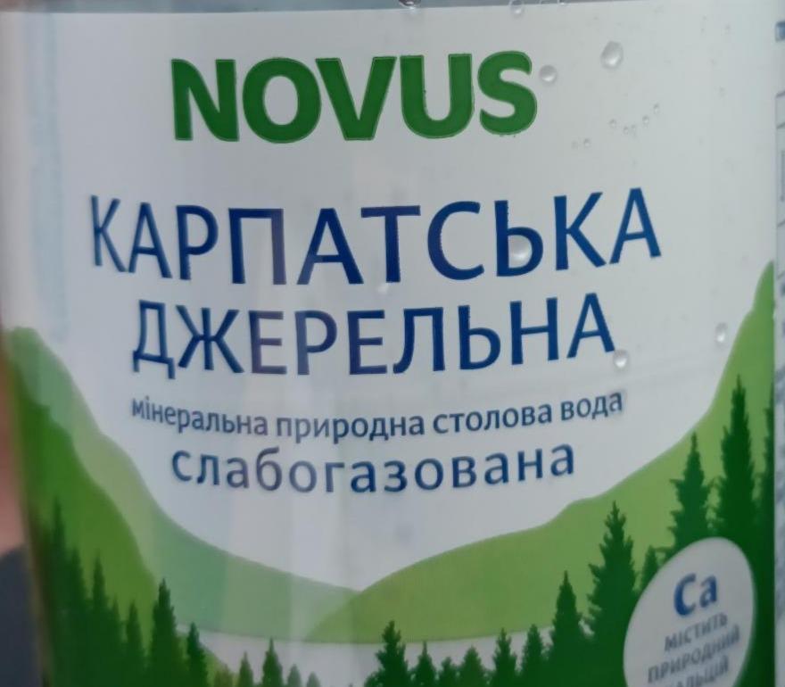 Фото - Карпатська джерельна мінеральна природна столова вода слабогазована Novus