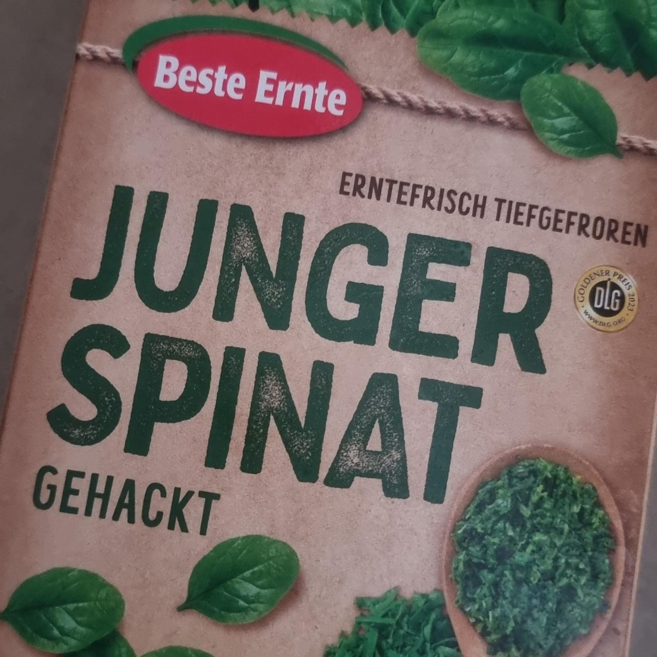 Фото - Junger Spinat Beste Ernte