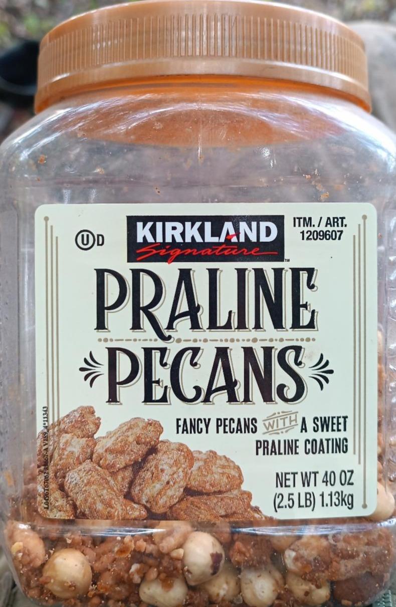 Фото - Praline KIRKLAND Signat