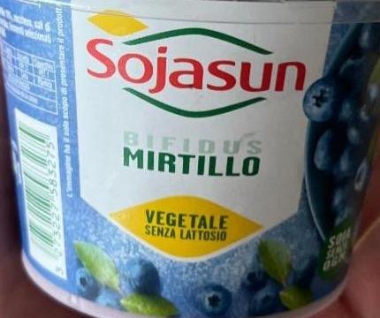 Фото - Bifidus Pezzi di Frutta Mirtillo Sojasun