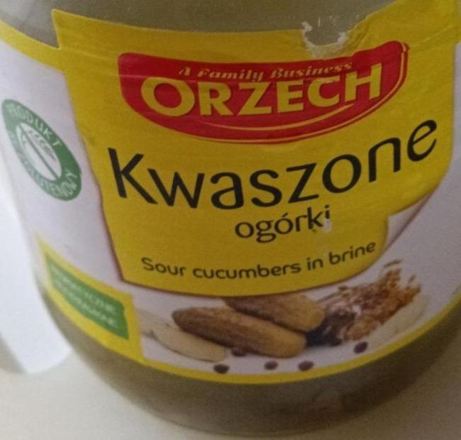 Фото - Kwaszone ogorki Orezech