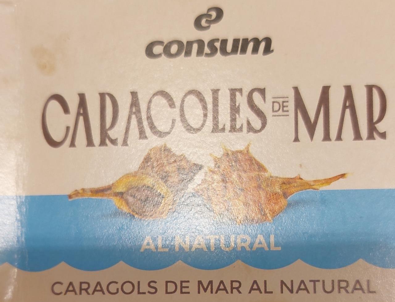 Фото - Caracoles de mar al natural Consum