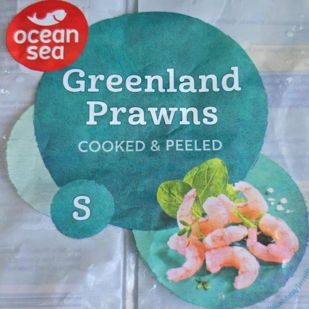 Фото - Greenland Prawns Cooked & Peeled Ocean Sea