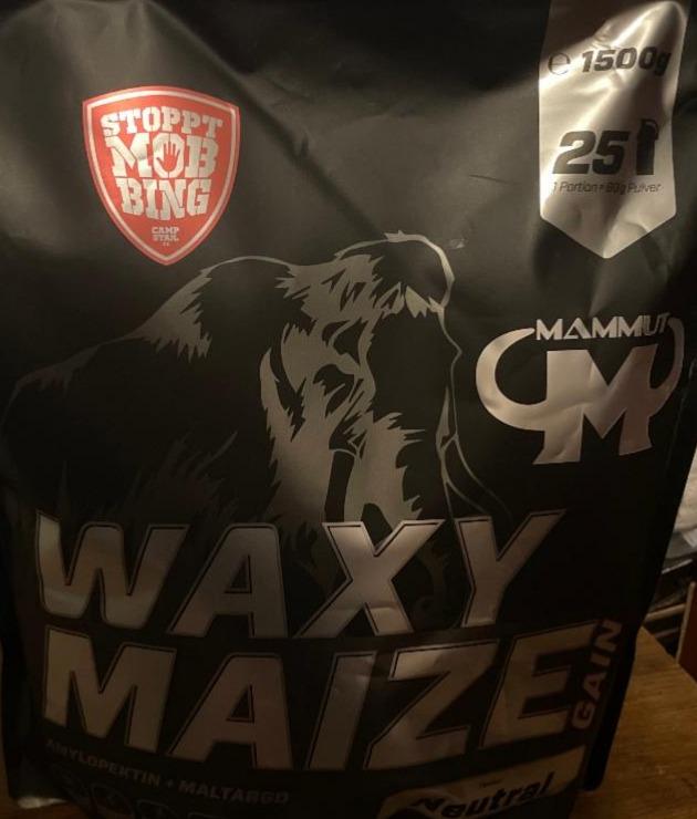 Фото - Амілопектин waxy maize gain Mammut Nutrition