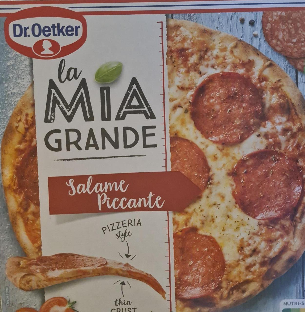 Фото - Піца La Mia Grande Salame Piccante Dr.Oetker