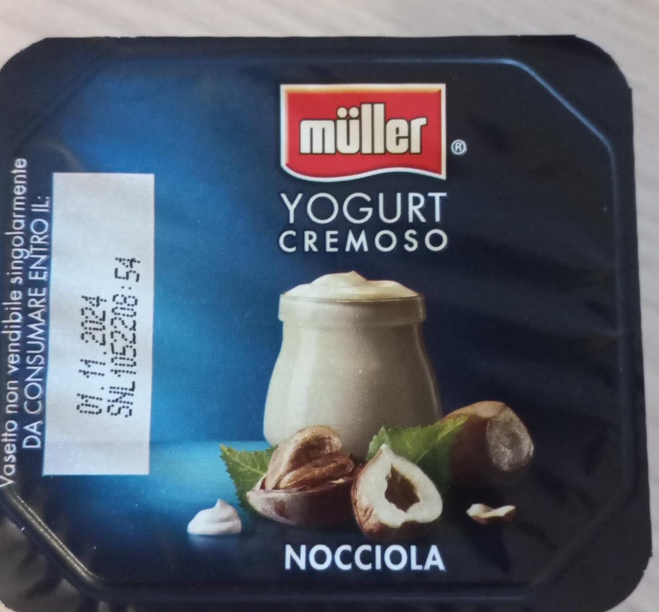 Фото - Yogurt Cremoso Nocciola Müller