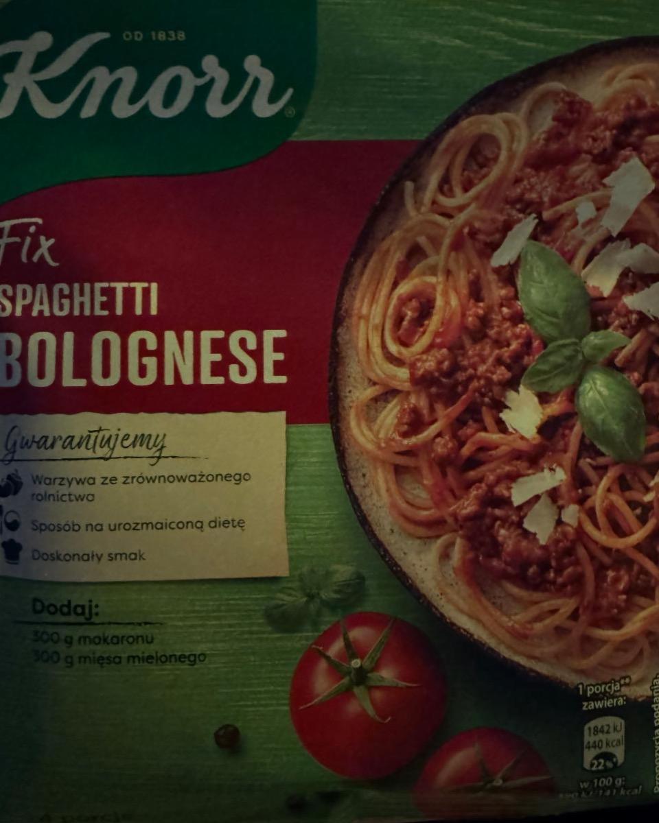 Фото - Fix spaghetti bolognese Knorr