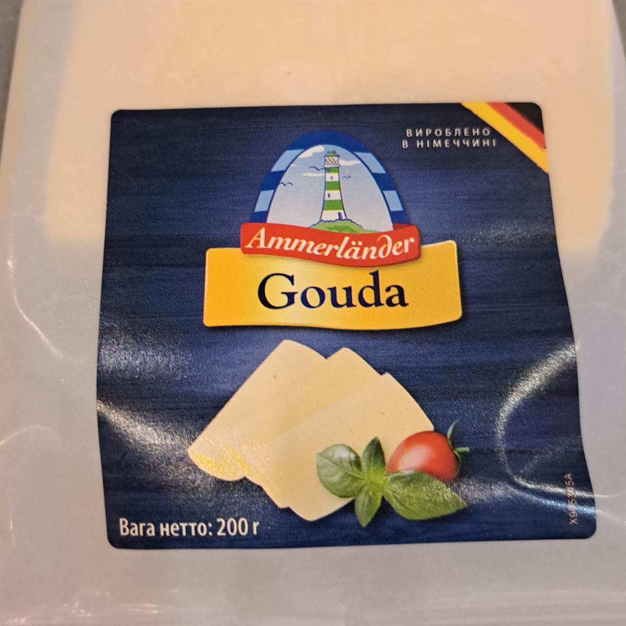 Фото - Сир твердий Gouda Ammerlander