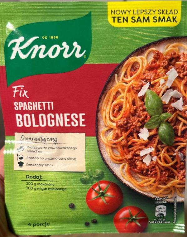 Фото - Приправа Fix Spaghetti Bolognese Knorr