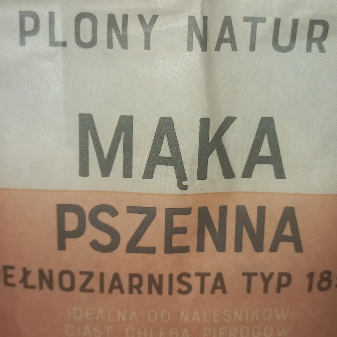 Фото - Maka Pszenna Plony Natury