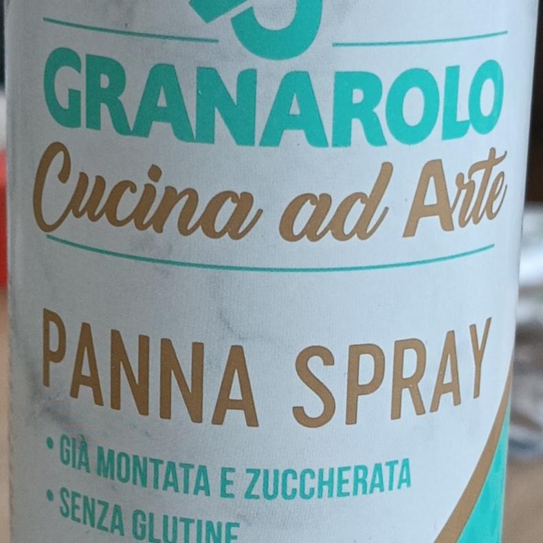 Фото - Cucina ad Arte Panna Spray Granarolo