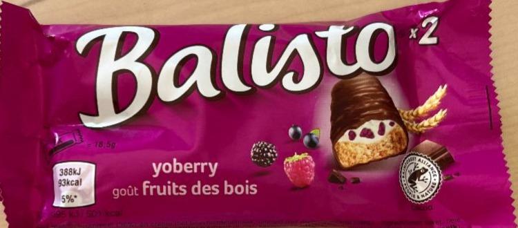 Фото - Yoberry gout fruits des bois Balisto