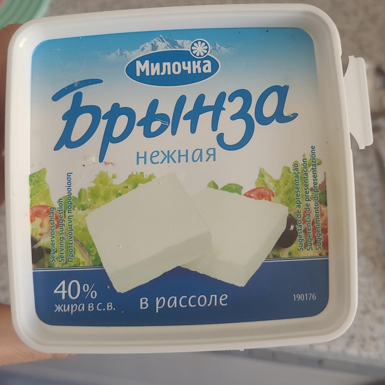 Фото - Бринза ніжна в розсолі 40% Милочка