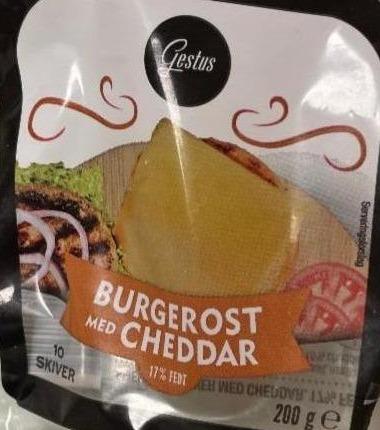 Фото - Burgerost med cheddar Gestus