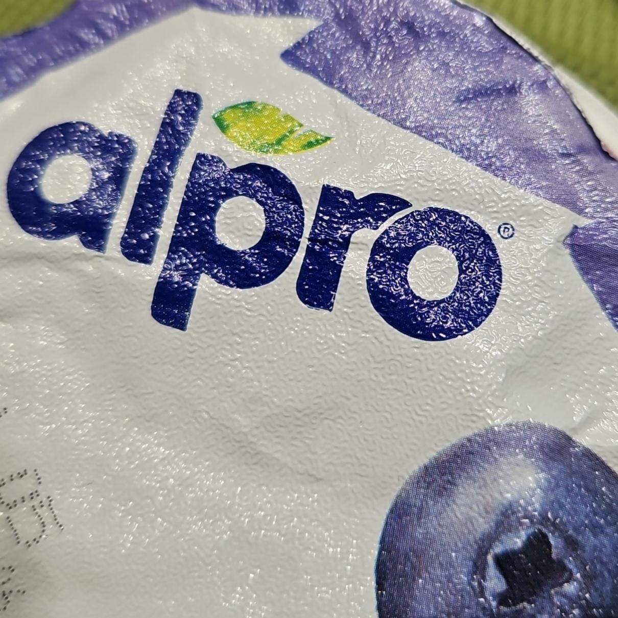 Фото - Blueberry Alpro