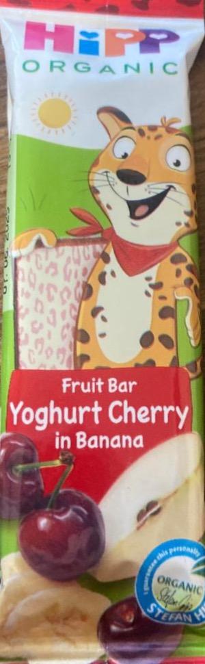 Фото - Fruit bar yoghurt cherry in banana Hipp