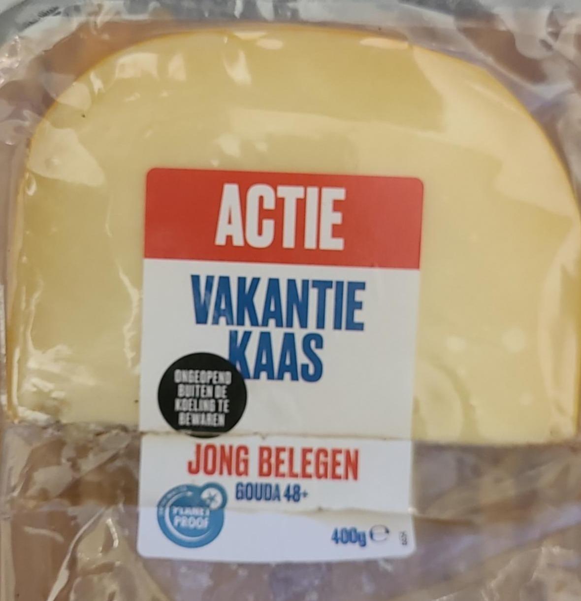 Фото - Vakantie kaas Jong Belegen Gouda 48+ Actie