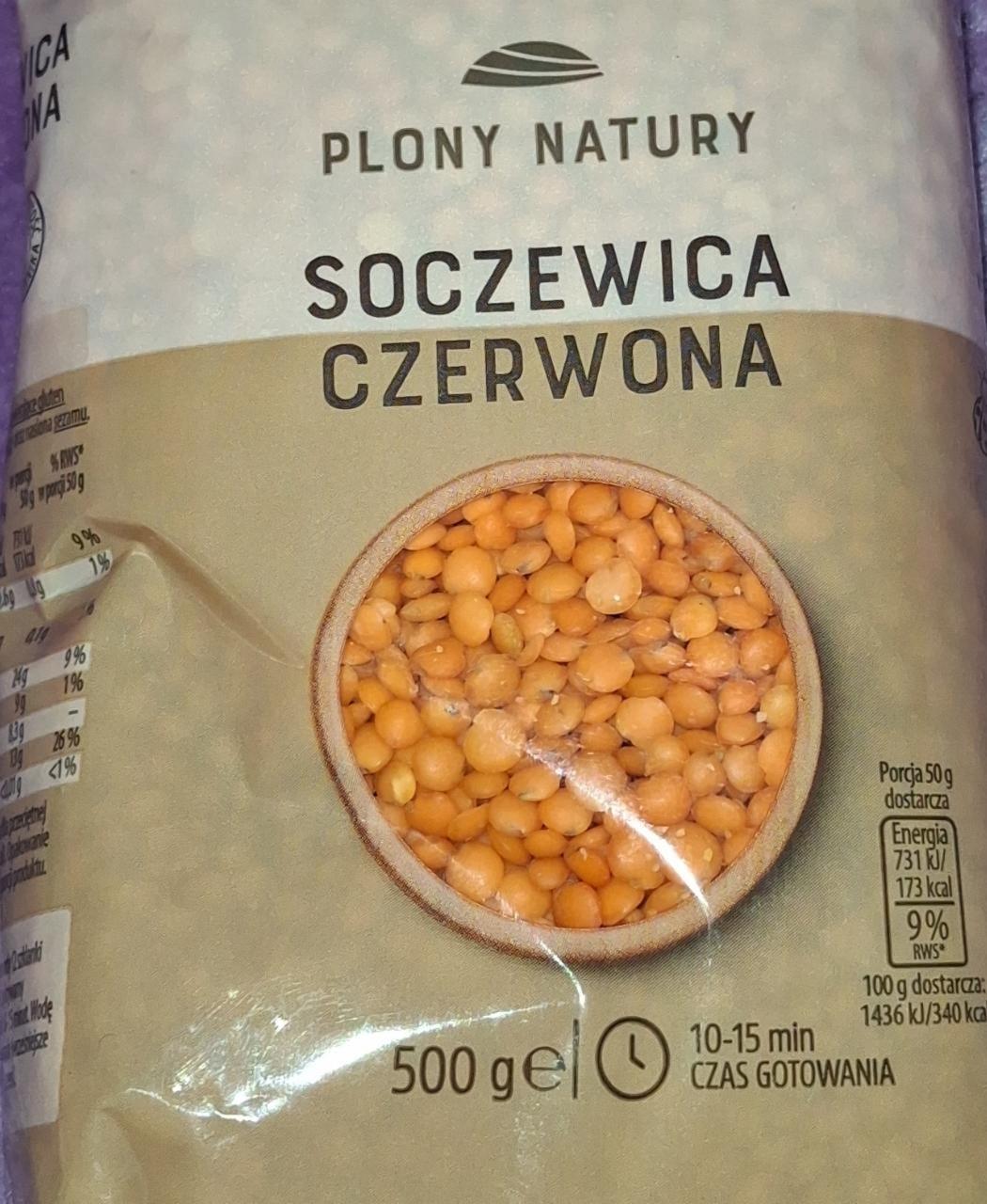 Фото - Soczewica czerwona Plony natury