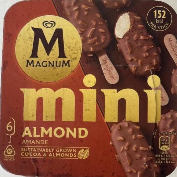 Фото - Mini almond Magnum