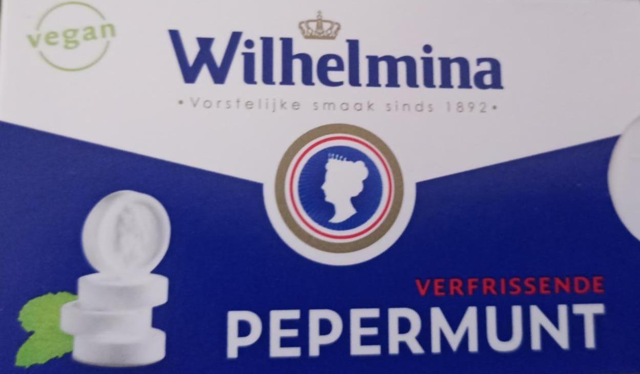 Фото - Peppermunt Wilhelmina