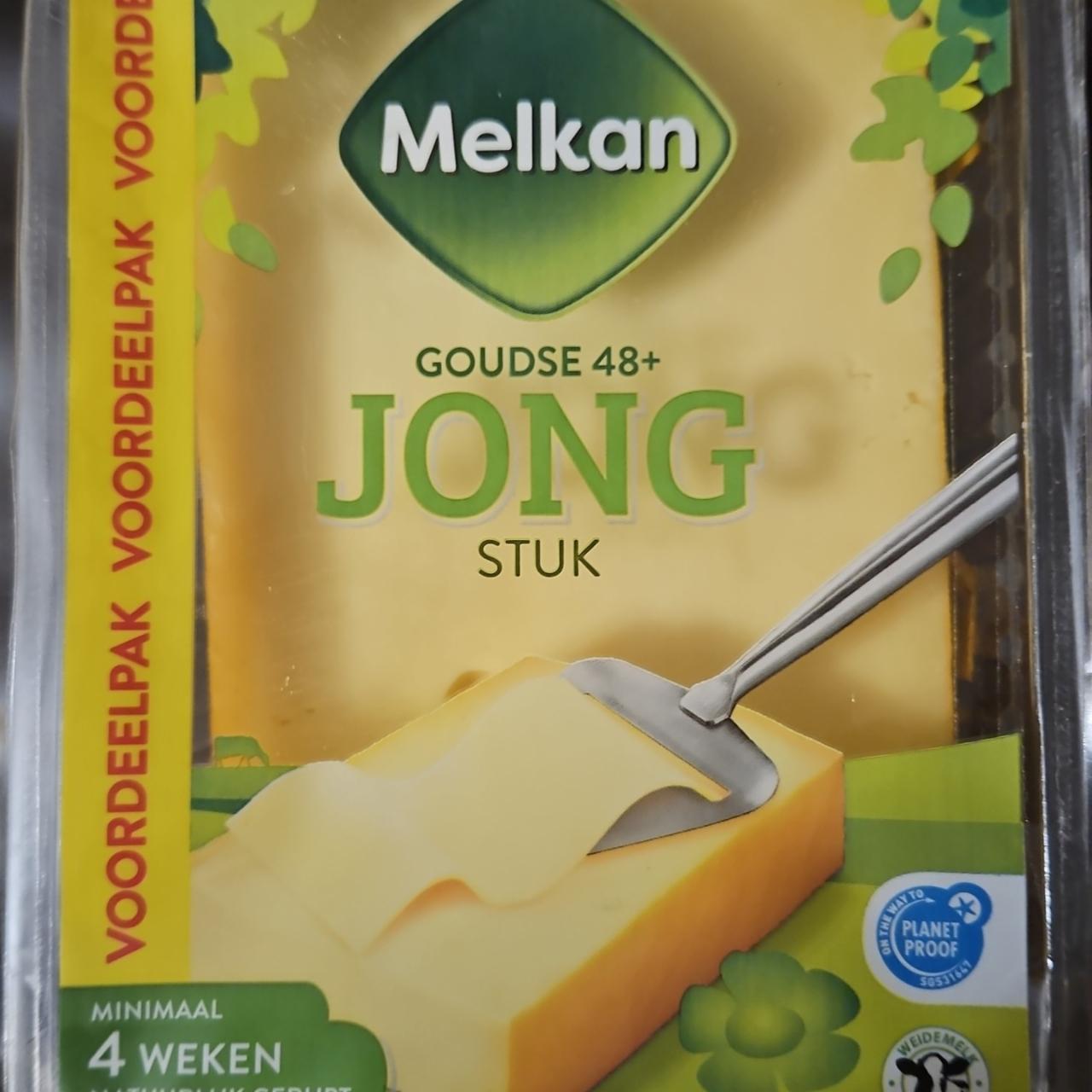 Фото - Goudse 48+ jong stuk Melkan