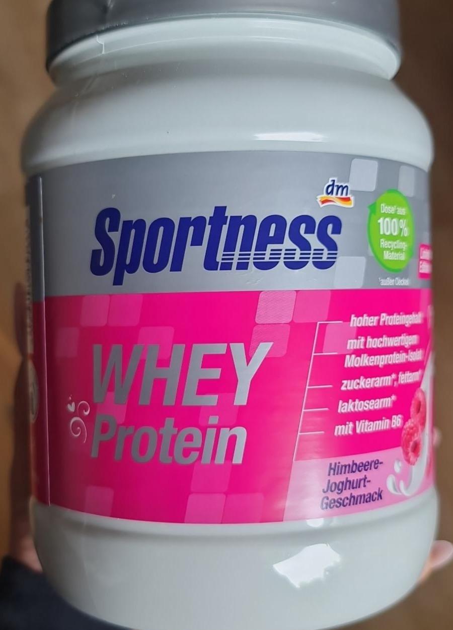 Фото - Протеїн Whey Protein Sportness