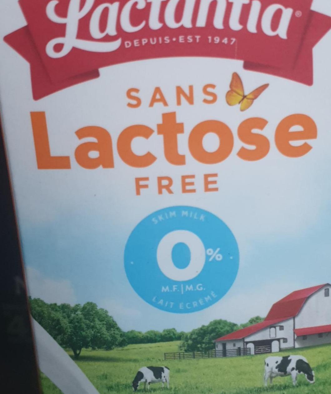 Фото - 0% lactose free skim milk Lactantiam