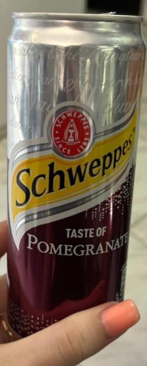 Фото - Taste of Pomegranate Schweppes