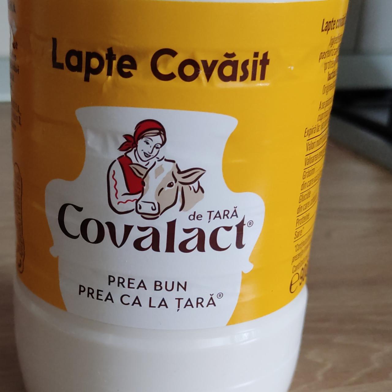 Фото - Lapte covăsit 3.3% Covalact de Tara