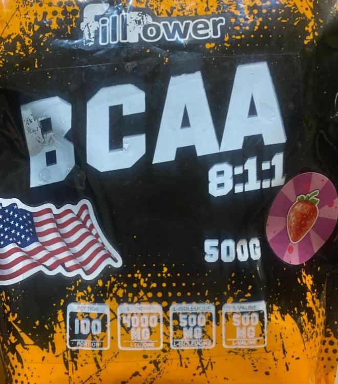 Фото - BCAA 8:1:1 Fill Power