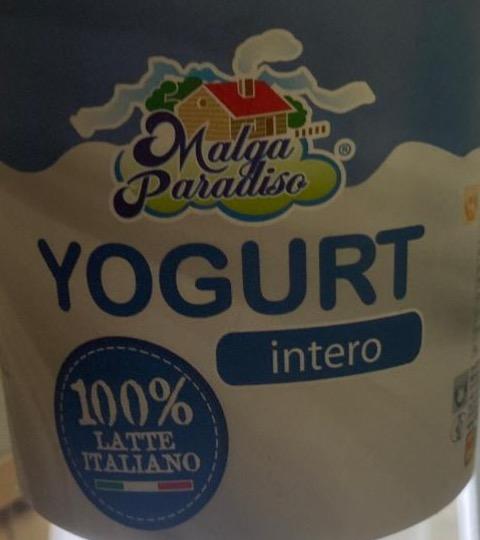 Фото - Yogurt Malga Paradiso