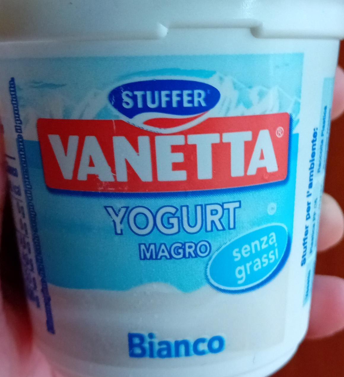 Фото - Vanetta Yogurt Magro Bianco Stuffer