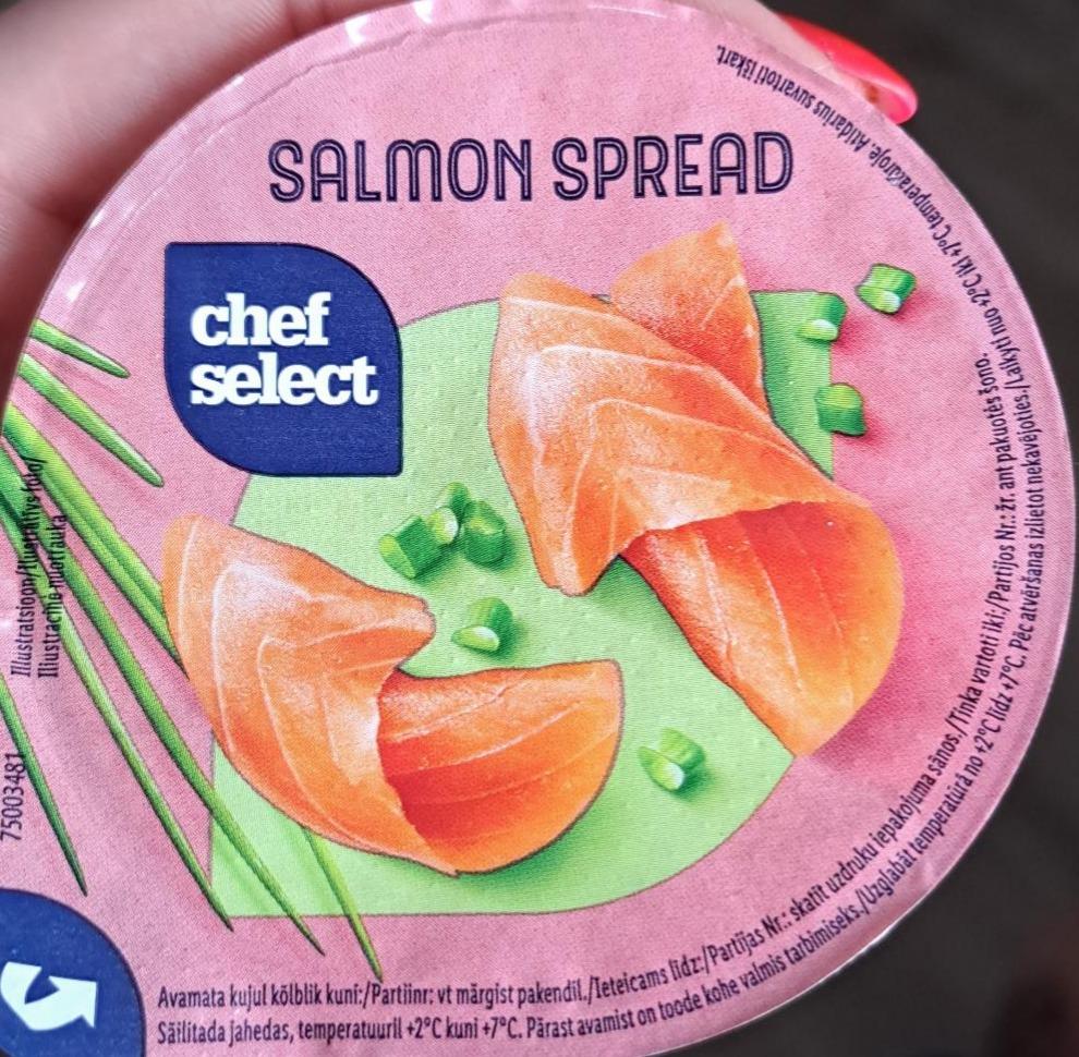 Фото - Salmon Spread Chef Select