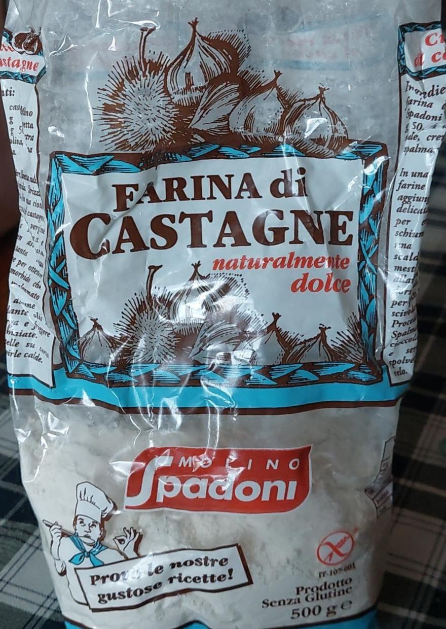 Фото - Farina di castagne Molino Spadoni